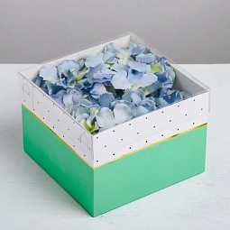 Коробка для цветов с прозрачным куполом №1